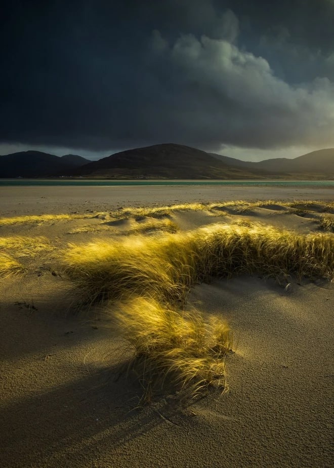© Verity Milligan